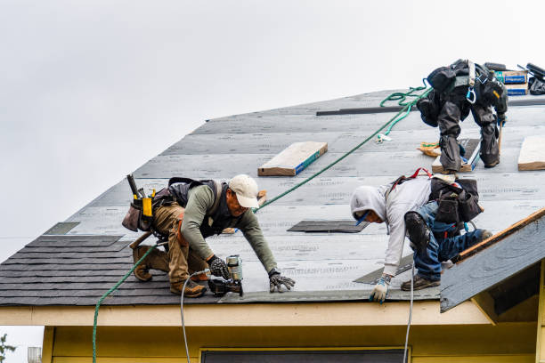 Professional Gutter Installation technician working in Athens, TX
